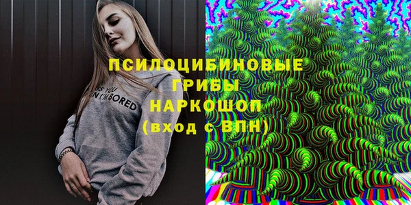 Альфа ПВП Вязьма